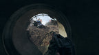 Battlefield V — Xbox One