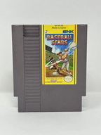 Baseball Stars — NES