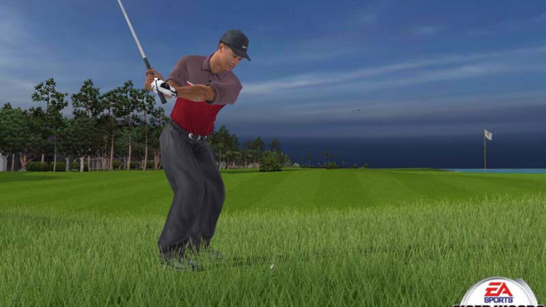 Tiger Woods PGA Tour 2005 — PS2